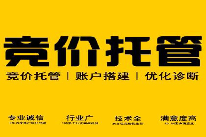 提升转化率：SEM广告投放的实战案例分享